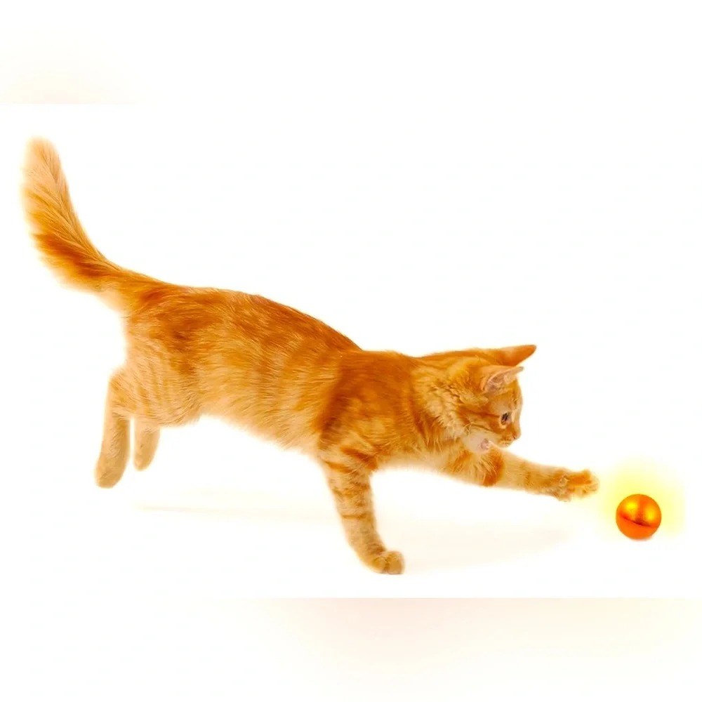 Petlinks Flash Dance Electronic Light Ball Cat Toy | Battery Powered | NIP